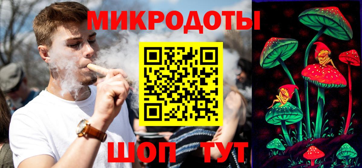 Галлюциногенные грибы Psilocybe Карачаевск