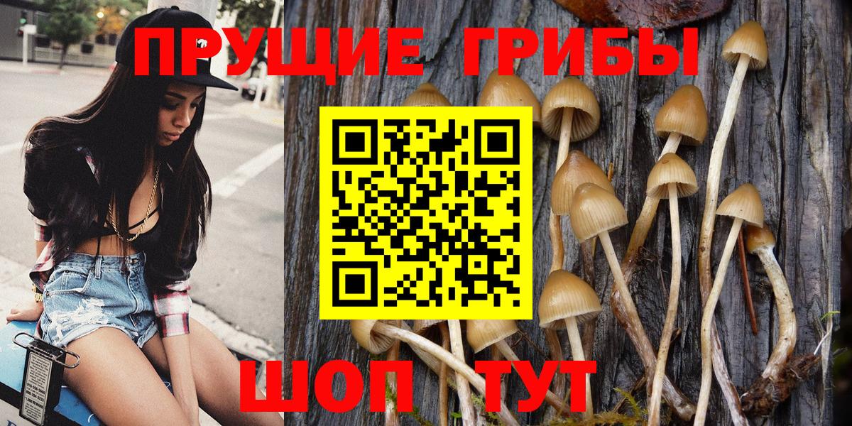 Псилоцибиновые грибы Psilocybine cubensis  Вход с VPN  Карачаевск 